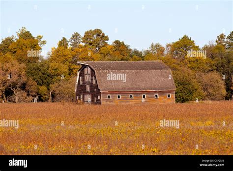 Old Abandoned Barn Stock Photo - Alamy