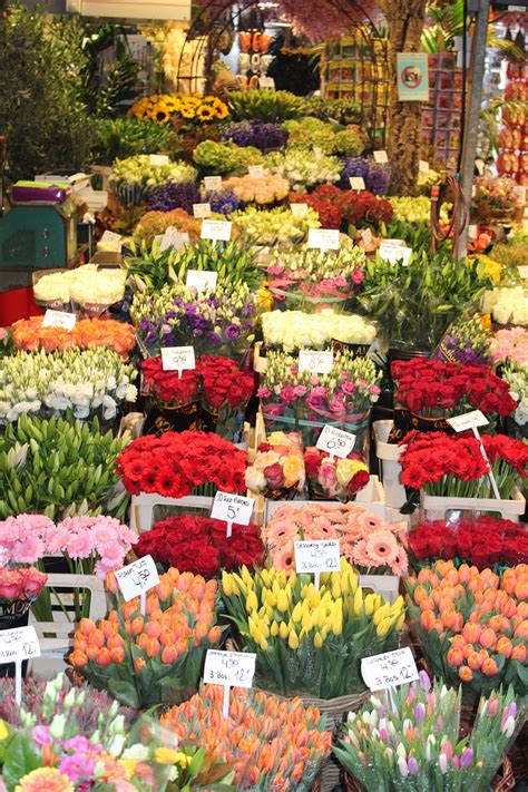 Flowers Flowermarket Market - Free photo on Pixabay - Pixabay