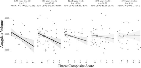 Age and Threat interact to predict Amygdala Volume (visualized using ...