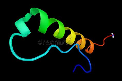 Peptid JJ PYY, Ein Peptid, Das Appetit Verringert Stock Abbildung ...