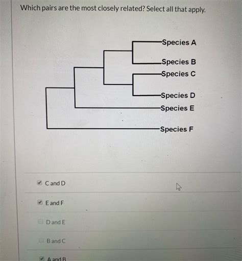Solved Which pairs are the most closely related? Select all | Chegg.com