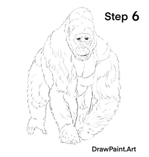 25 Easy Gorilla Drawing Ideas How To Draw A Gorilla