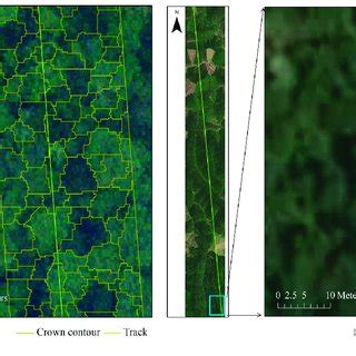 Example Of Segmentation Results Of The A CAF LiCHy DOM Data And B