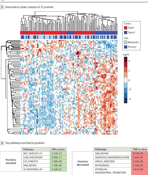 Pdf Classification Of High Grade Serous Ovarian Cancer Using Tumor