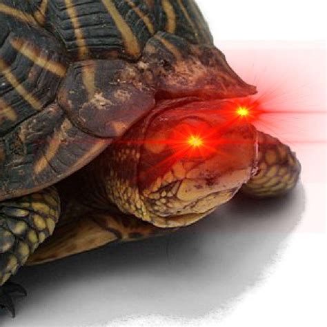 Mods R Gay Scrolller