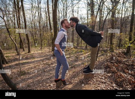 Deux hommes se penchant à l autre jeune couple gay à propos d embrasser face à face tout en