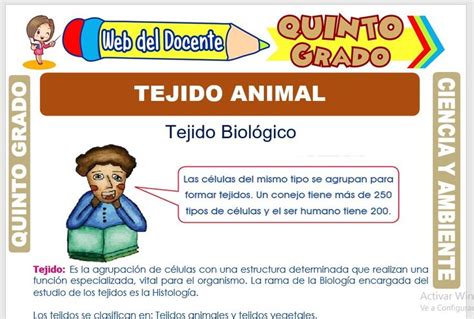 CIENCIA Y AMBIENTE Quinto Grado De Primaria 32 FICHAS Winnie The