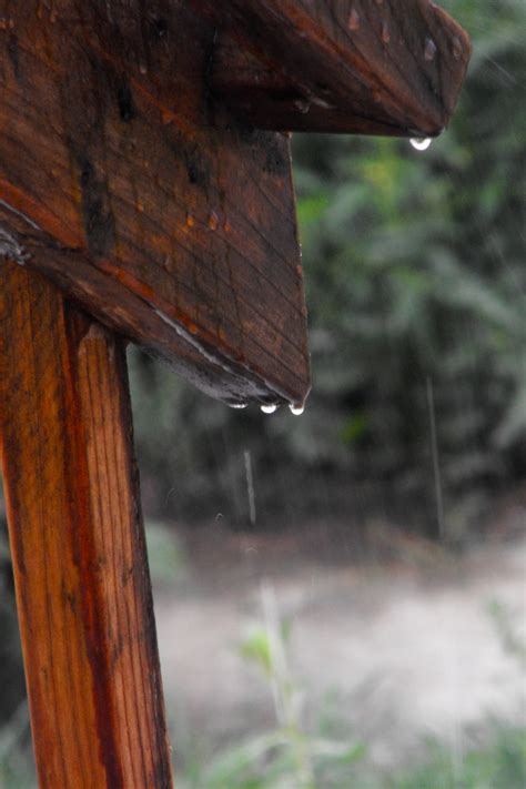 Weathering The Storm By Dani The Naiad On Deviantart