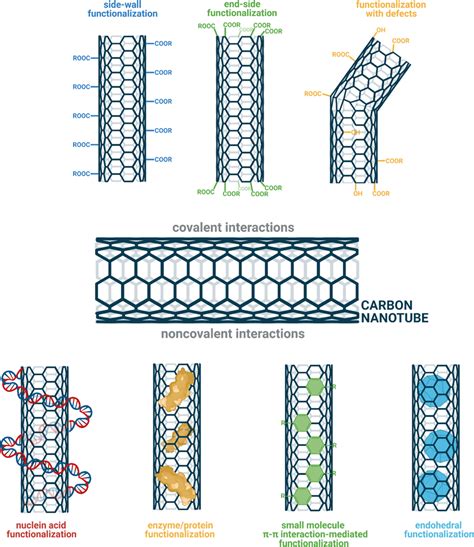 Surface Functionalization Examples Of Carbon Nanotubes Figure Created