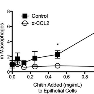 Epithelial cell CCL2-dependent M2 polarization in vitro. (A) ArgI ...