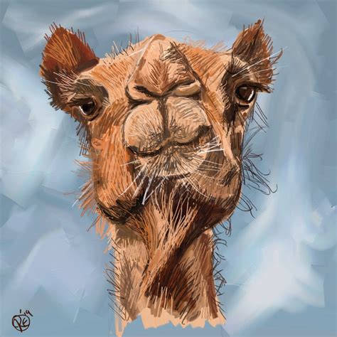 How To Draw A Camel · Sketch A Day