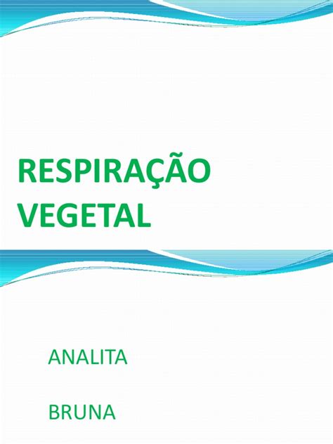 PDF respiraçao vegetal DOKUMEN TIPS