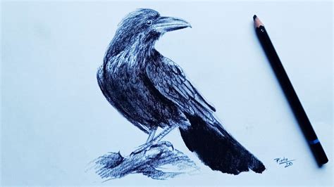 Details more than 146 easy drawing of crow - seven.edu.vn