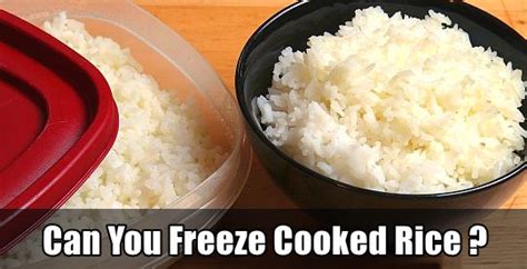 Can You Freeze Cooked Rice How To Freeze Cooked Rice