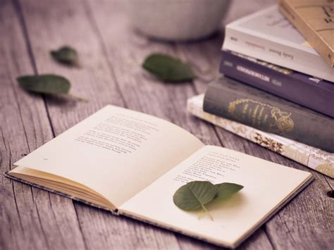 Book Wallpaper - Reading Wallpaper (34659444) - Fanpop