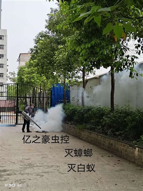 南宁青秀区灭红火蚁措施 经验丰富广西亿之豪有害生物防治服务有限公司