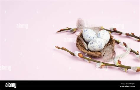Easter Holiday Background Nest With Small Eggs Branches Of Pussy Willow Greeting Card Spring