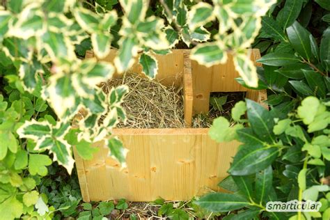 Igelhaus bauen oder kaufen Wertvolle Unterstützung für Igel im Winter