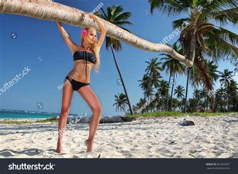 Beautiful Female Blonde Model Perfect Body Stock Photo Shutterstock