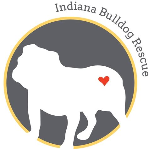 Every dog deserves love, safety, and a second chance. Make this your reason to give.. #