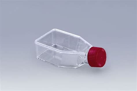 Calculation Of Inoculate Survival Rate Of Cells Using Cell Culture