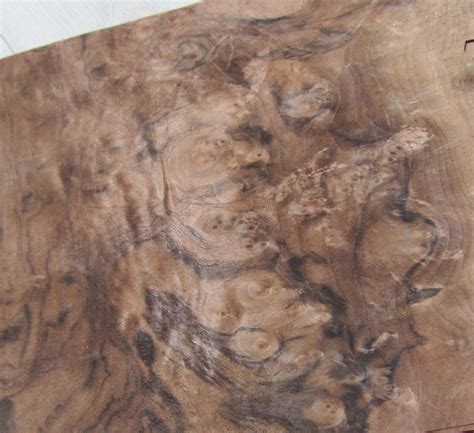 Walnut Burl Wood Veneer Sheets X X Etsy