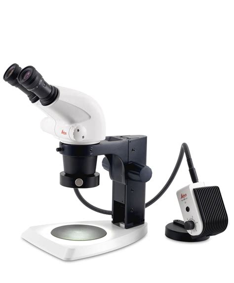 S6 E Comfortable, Greenough Stereo Microscope - Media | Products