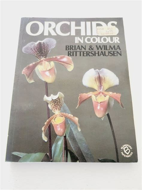 Orchids In Colour By Brian Wilma Rittershausen S Vintage Orchid