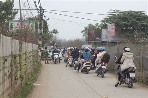 Tết Dương lịch hot girl đổ xô đi chụp ảnh tại vườn hoa Nhật Tân