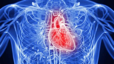 Novo Nordisk erwirbt Cardior Pharmaceuticals