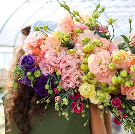 Growing Lisianthus – Harmony Harvest Farm