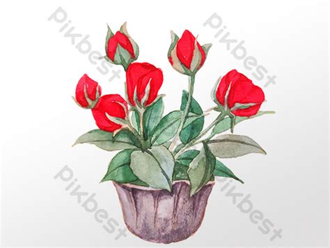 Draw A Rose Flower Pot Best Flower Site