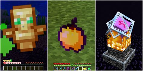 rarest items  minecraft