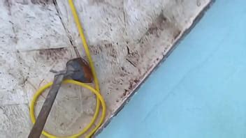 Novinha De Anos Dando Na Janela Meu Primeiro V Deo A Da Na Brincando Amig Xvideos