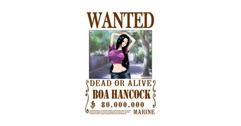 Boa Hancock One Piece Wanted - Boa Hancock - Posters and Art Prints | TeePublic