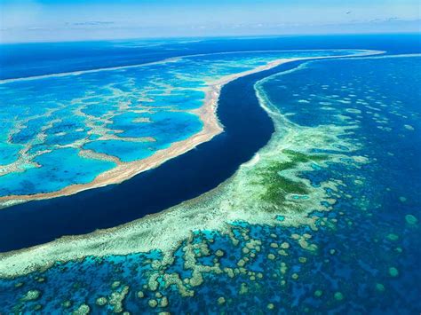 Fishing In Great Barrier Reef The Complete Guide