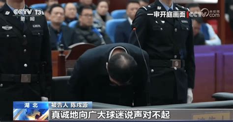 中国足球协会原主席陈戌源判处无期徒刑球迷被告人来源