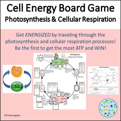 Photosynthesis And Cellular Respiration Cycle Game Made By Teachers