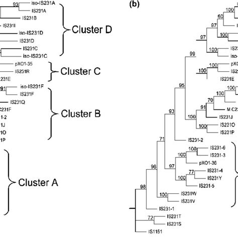 Standard Strains Of Bacillus Thuringiensis Download Table