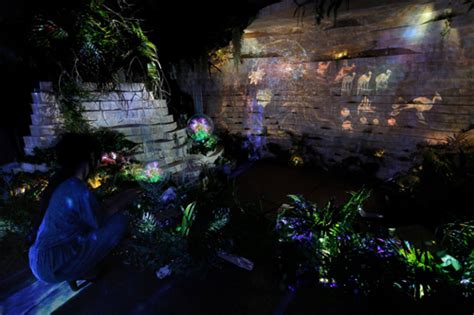 カラダ中で感じるプロジェクションマッピングで咲き乱れるFLOWERS BY NAKED 魅惑の楽園に酔いしれる 画像15 SGS109