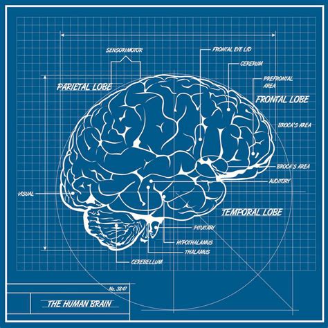 biology education wall art prints framed prints  multi panel art