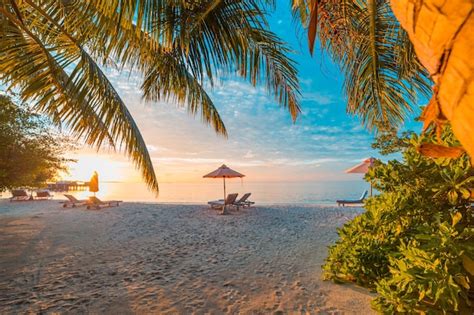 Beautiful tropical sunset romance couple chairs umbrella under palm