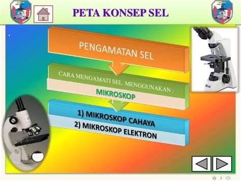 Peta Konsep Pembelahan Sel