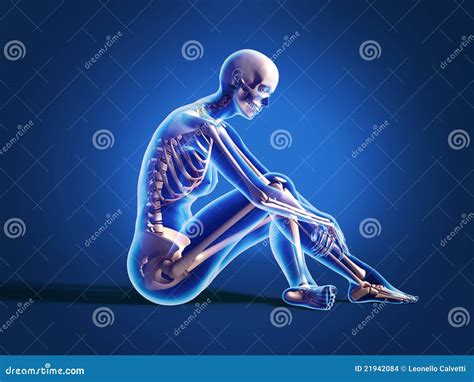 Anatomy Naked Woman Body With Bone Skeleton Stock Image