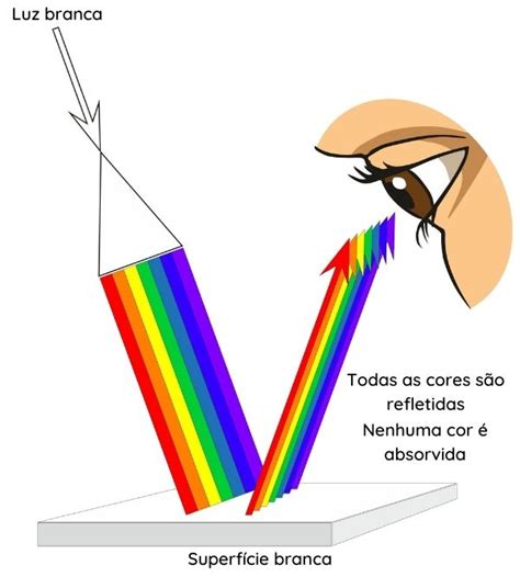 Fenômenos Ondulatórios Reflexão - Fenômenos ondulatórios: o que são e exemplos - PrePara ENEM