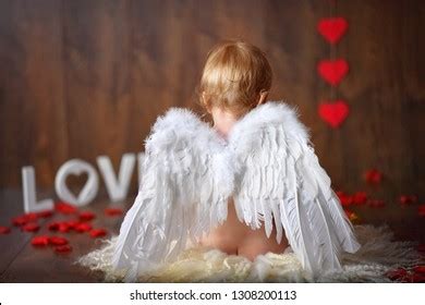 Cute Baby Boy Angel Wings Sitting Stock Photo 1308200113 | Shutterstock