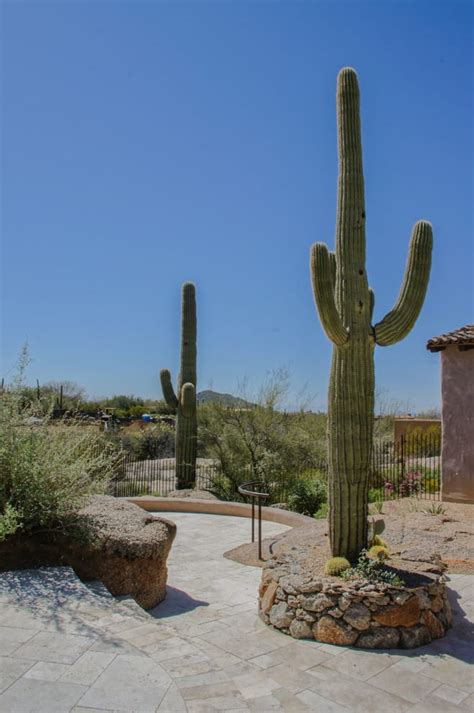 25 Awesome Arizona Backyard Landscaping Ideas On A Budget 2025