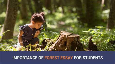 Importance Of Forest Essay For Students