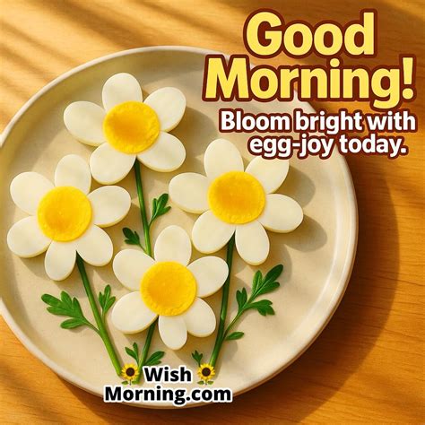 Good Morning Egg Images With Funny Quotes And Cheerful Wishes Wish
