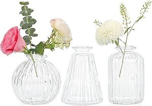 EylKoi Small Vases For Flowers 3pcs Set Bud Vase Glass Clear Different